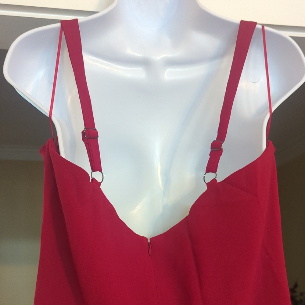 Dress the Population Garnet Sweetheart Maxi Gown for Weddings - Picture 7 of 8